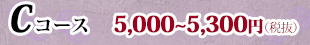 Cコース 5,400円